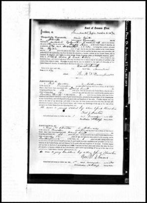 1890 David Smith Naturalization application