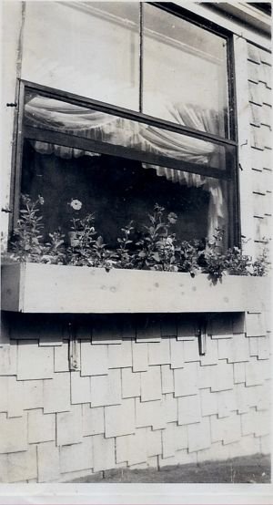 Scan0008