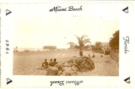 Beach, amusement pier in the background